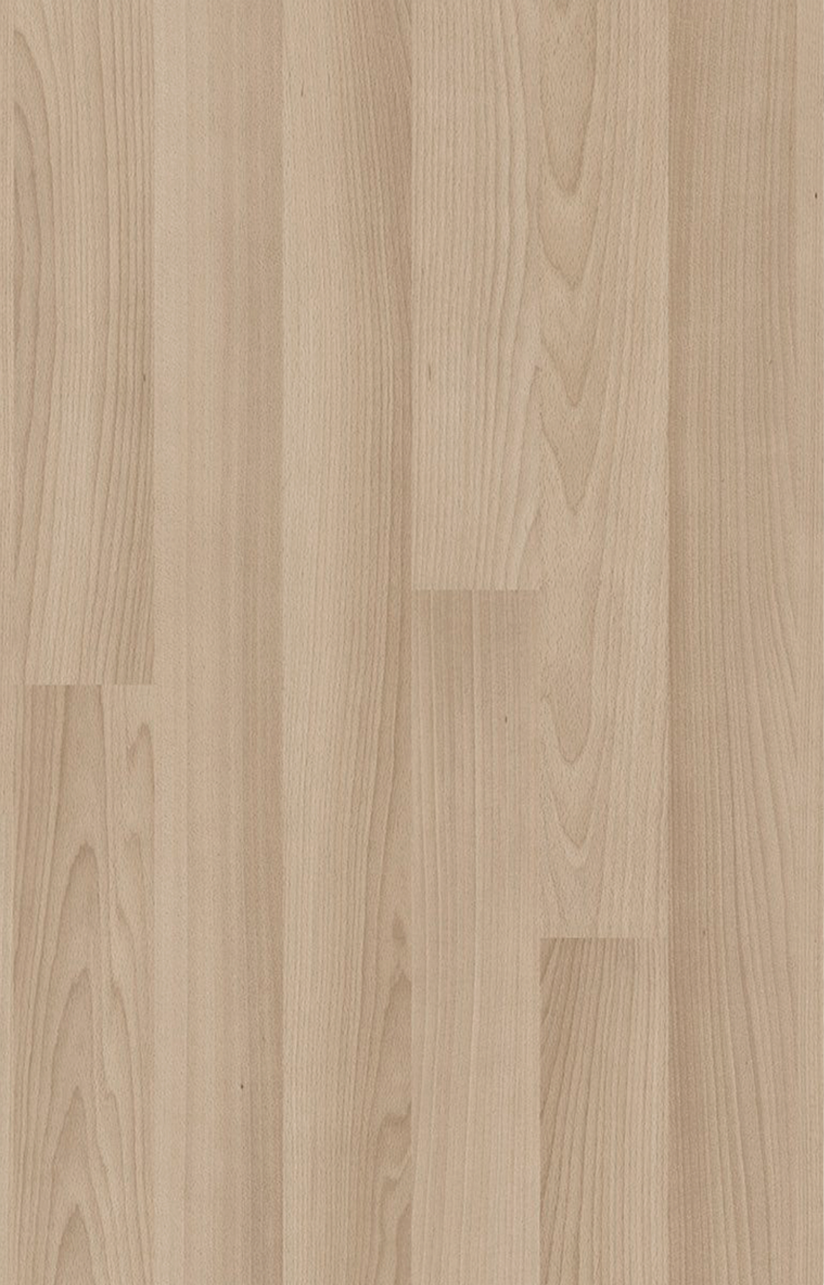 Maple Black Series 11