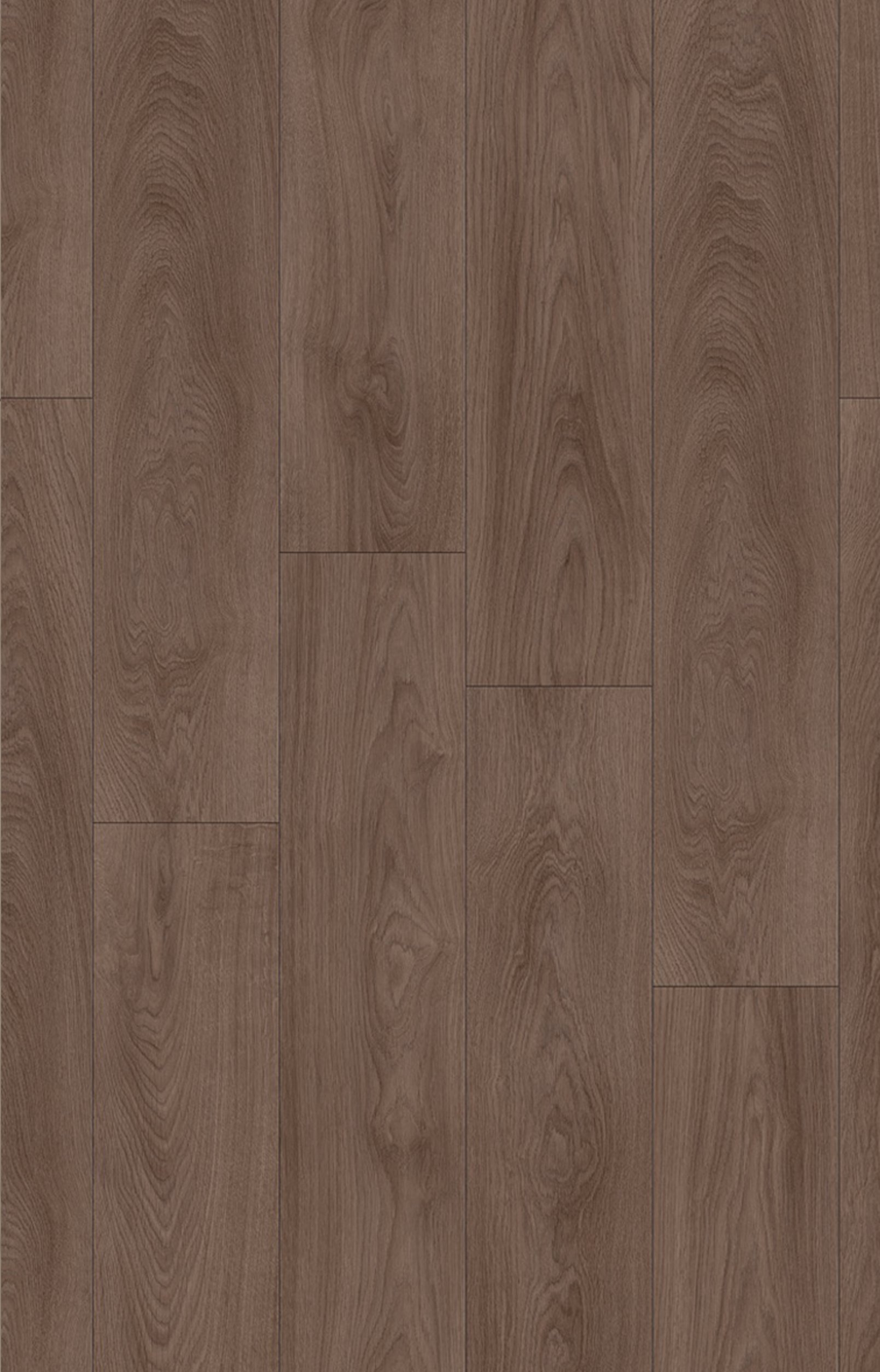 Maple Natural Series 10