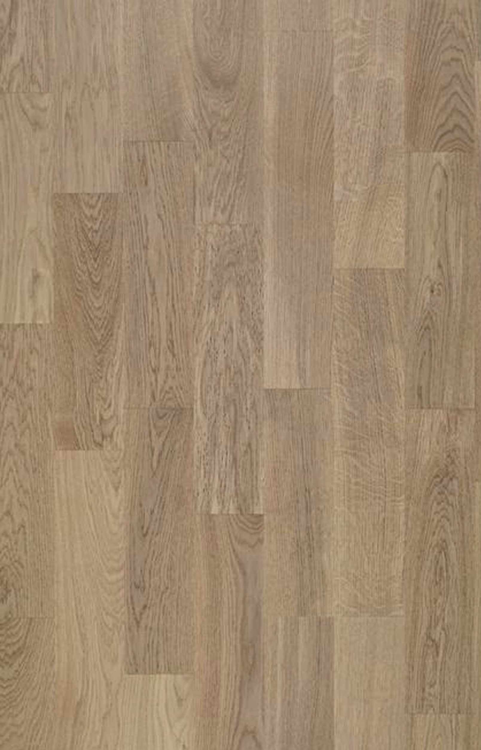 Teak Black Series 22